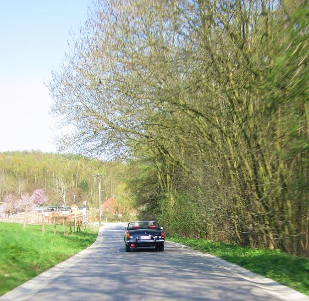 Namiddagrit van 65 km (7).JPG